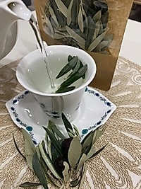 Zeytin Yaprağı 25 gr