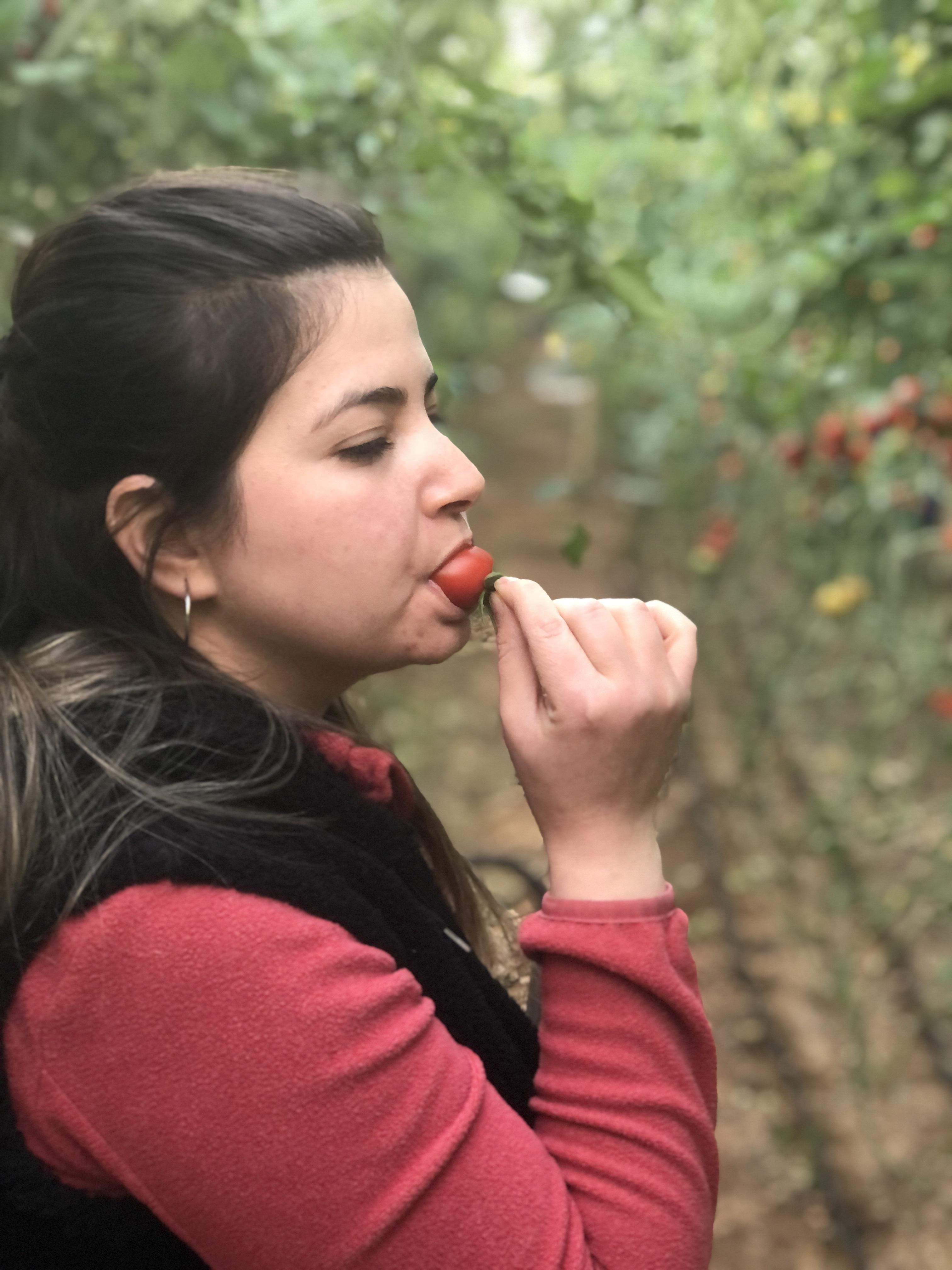 Üreticiden Sebze Almanın Farkı Nedir?